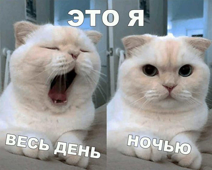 Фотография 2019-08-16 19:12:11