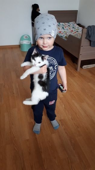 Ребенок и котенок