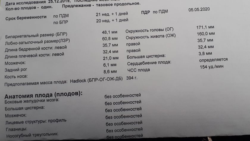 У НАС БУДЕТ ДЕВОЧКА!!!??️