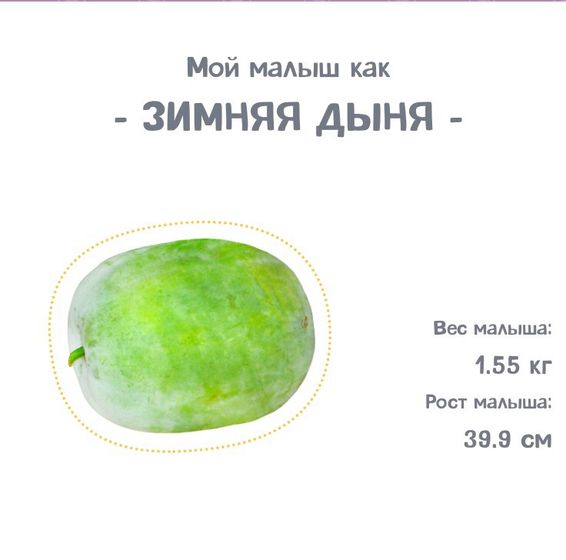 30 неделек нам ?