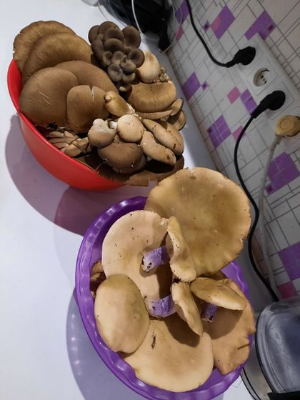 Провели день с пользой