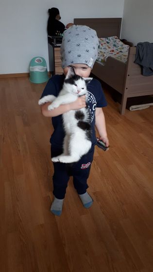 Ребенок и котенок