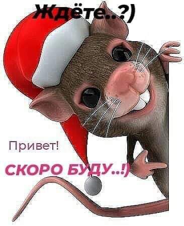 Итог...С Наступающим