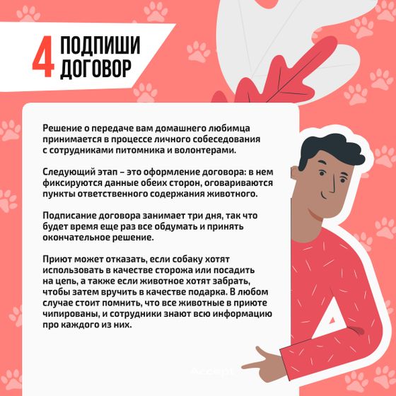 Памятка - как взять животное из приюта!