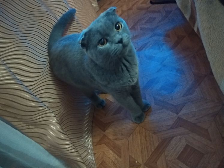 У кого ещё такие