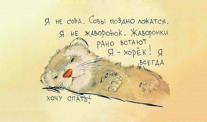 Сон?