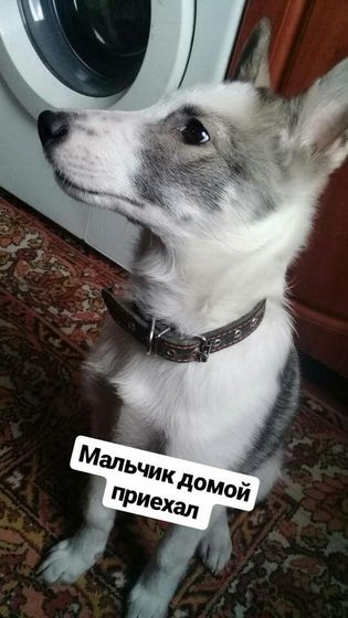 Чак чак