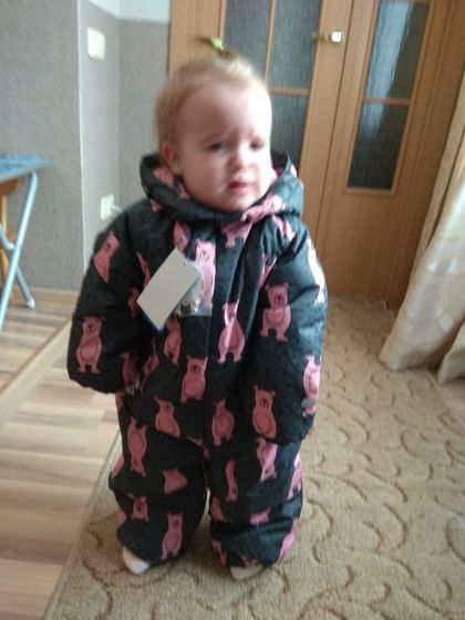 Трека трайб или Лесси?