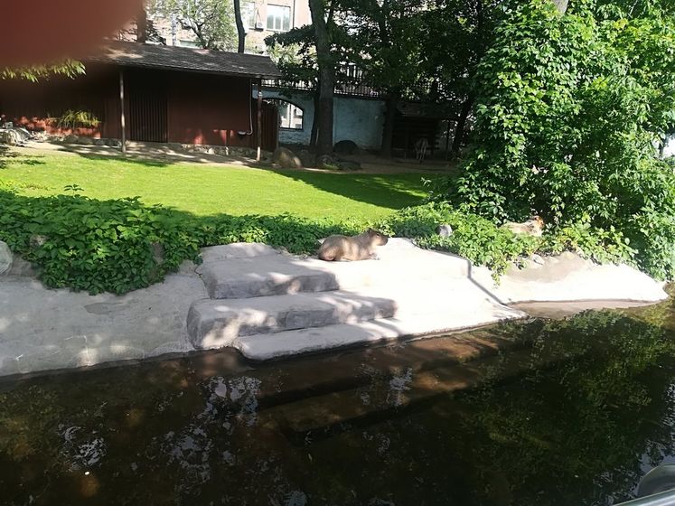 Поход в зоопарк