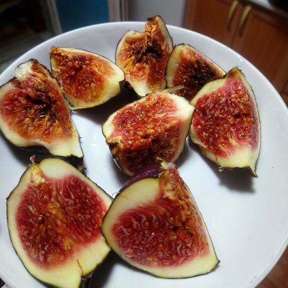 Вкусняшки для беремняшки ?.