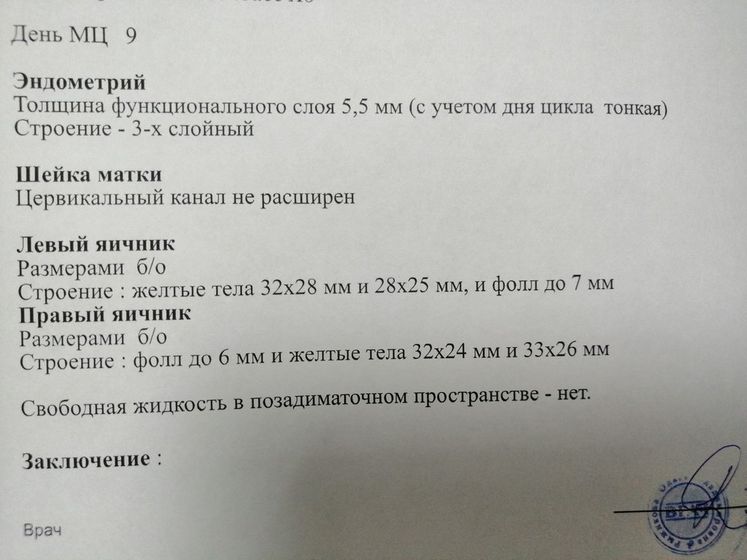 Первый цикл после ЭКО