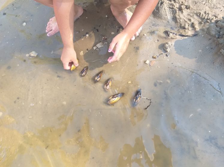 Погода прекрасная???жара, вода очень