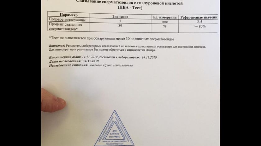 Подскажите пожалуйста в норме