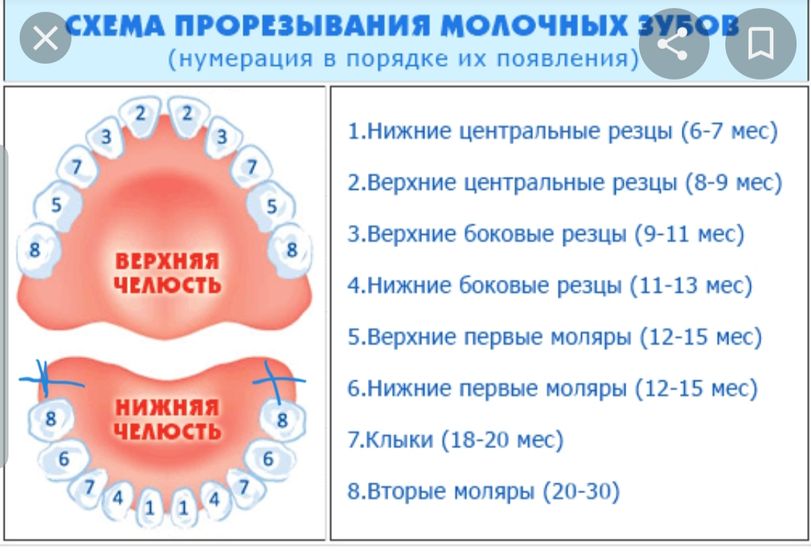 Всем привет!Девочки,у