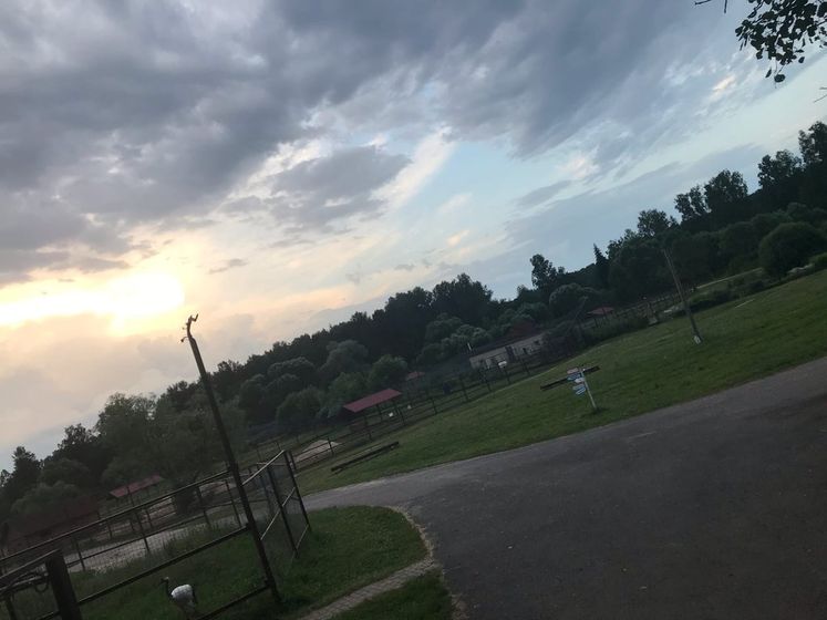 Парк птиц в воробьях