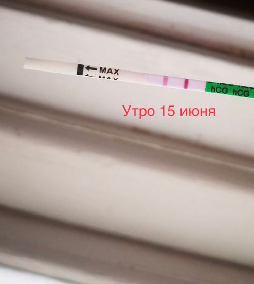 Задержка 3 день. И очень сильная рвота 2 день, от всего воротит. Цикл был всегда не стабилен.