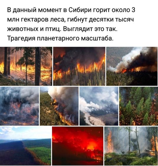 Сибирь((