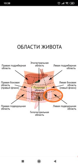 Boli Vnizu Zhivota Sleva Puziki Davajte Obshatsya