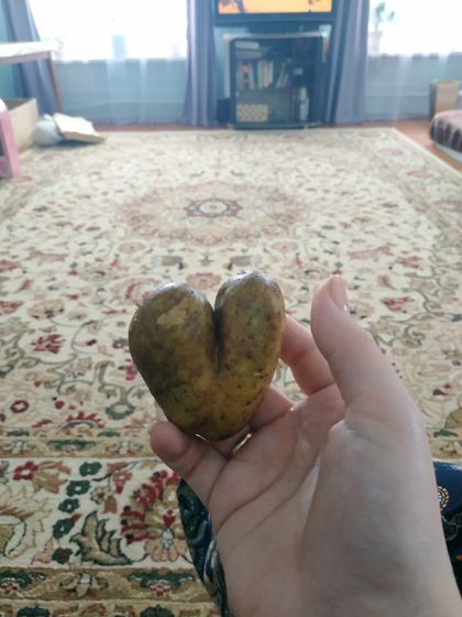 Подарок
