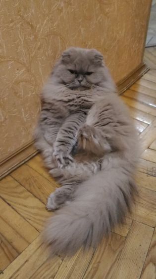А говорили будет ласковая