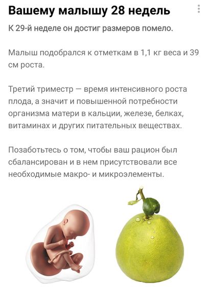 Спокойные 28 ?