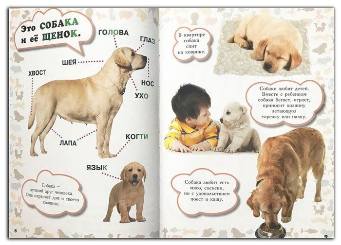 Тематическая неделька