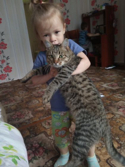 Дневник сумасшедшей мамаши