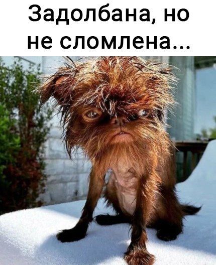 Все то Вы знаете мои хорошие? Подскажите и мне пожалуйста