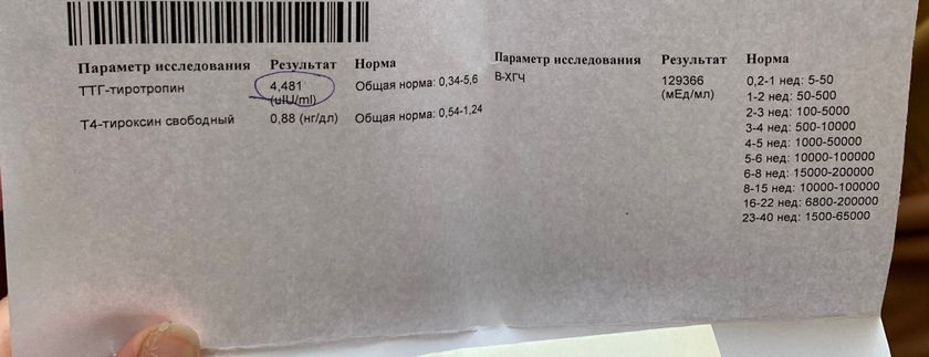 Девочки сегодня была у