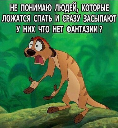 Сон?