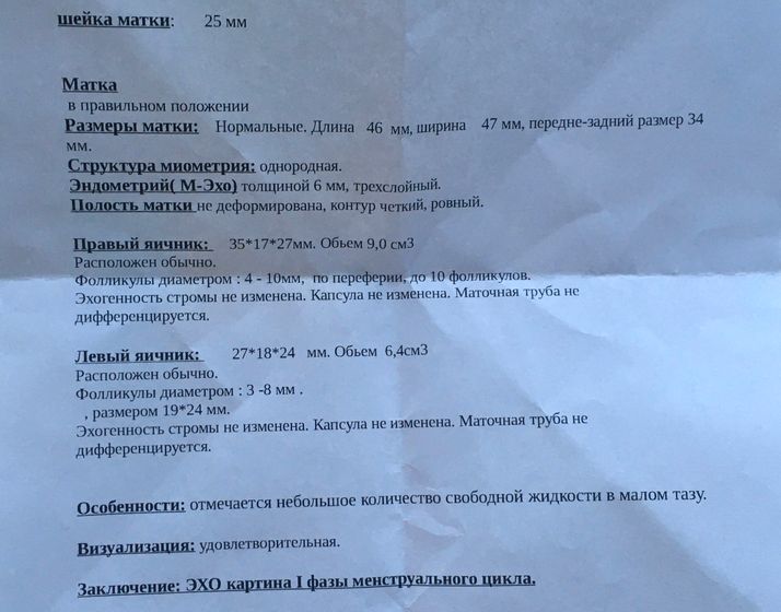 Овуляция возможна ли при таком узи?