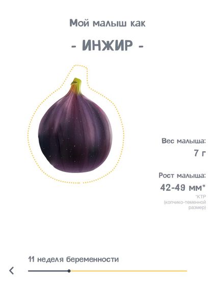 Нам сегодня 1️⃣1️⃣ неделек