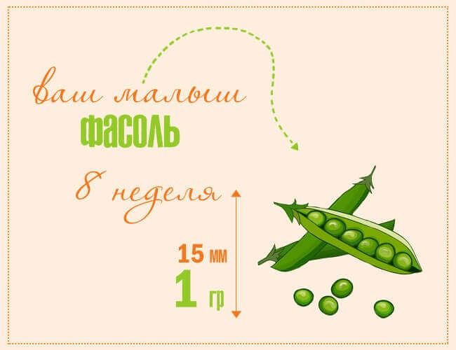 8️⃣ недель ❤️.