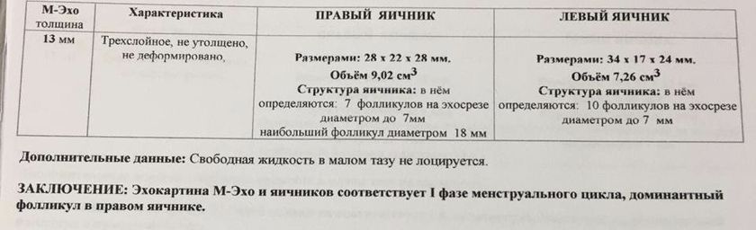 Овуляция
