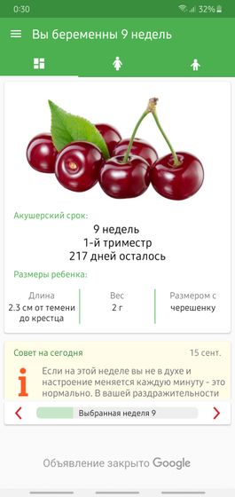 Моим черешенкам 9 недель??