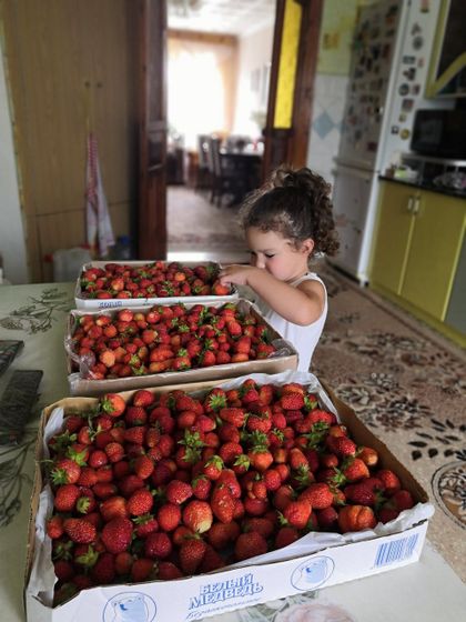 Наше лето🌼🍇🍓🍉🍌