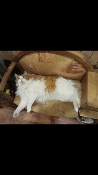 Может ли быть такое,