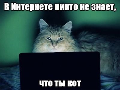 В интернете никто не знает, что ты - БОТ! Уйти или приколоться?