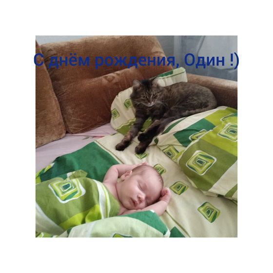 С днём рождения ,