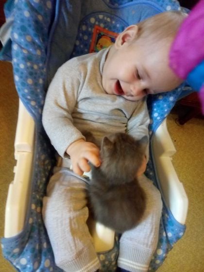 Завели сыну котика ?