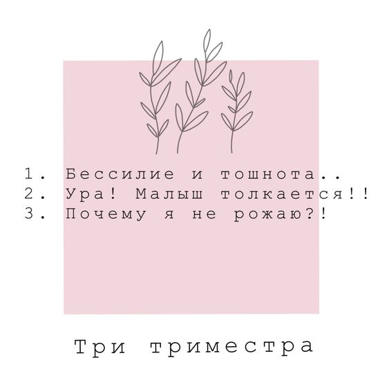 Триместры