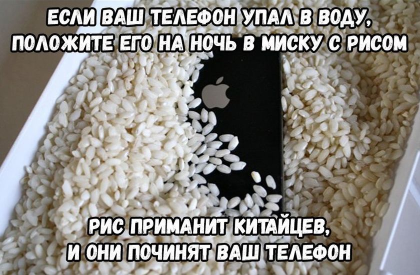 Утопила телефон