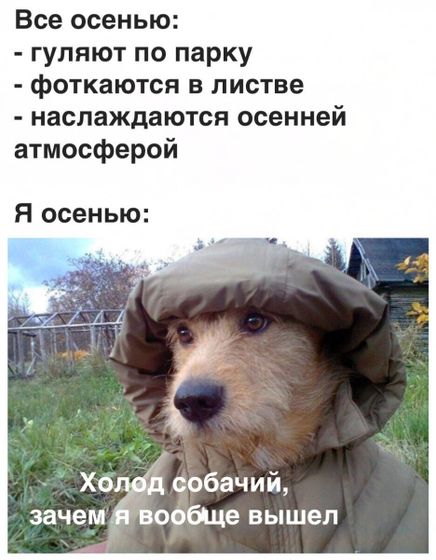 Про меня ?