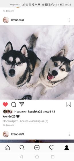 🐺🐺🐺