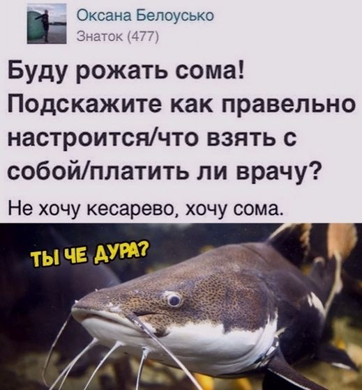 Фотография 2020-03-28 11:34:20