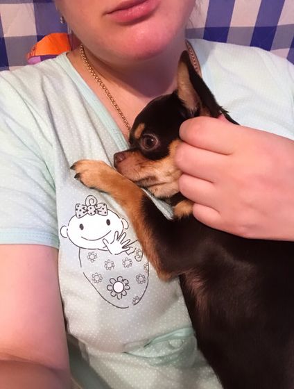 Мы с Сёмушкой 😊🐶