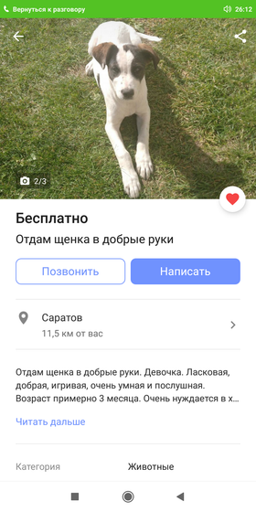 Выбираю щенка в дом