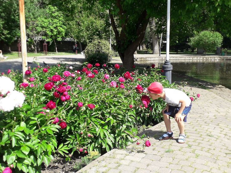 Городской сад