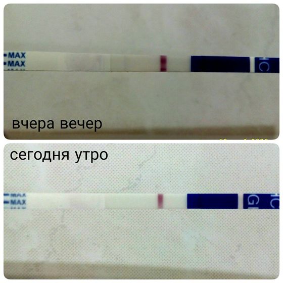 Может ли такое быть? Тест!
