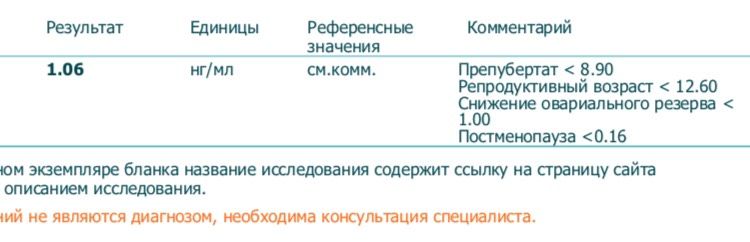 АМГ 1,06
